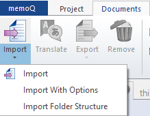 Registerkarte Dokumente mit Importoptionen: Import, Import mit Optionen und Ordnerstruktur importieren.