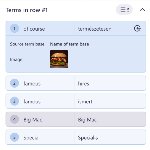 Les termes dans la section segment montrant tous les termes sélectionnés pour ce segment spécifique avec toutes les métadonnées importantes.