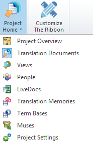ribbon-view-projecthome